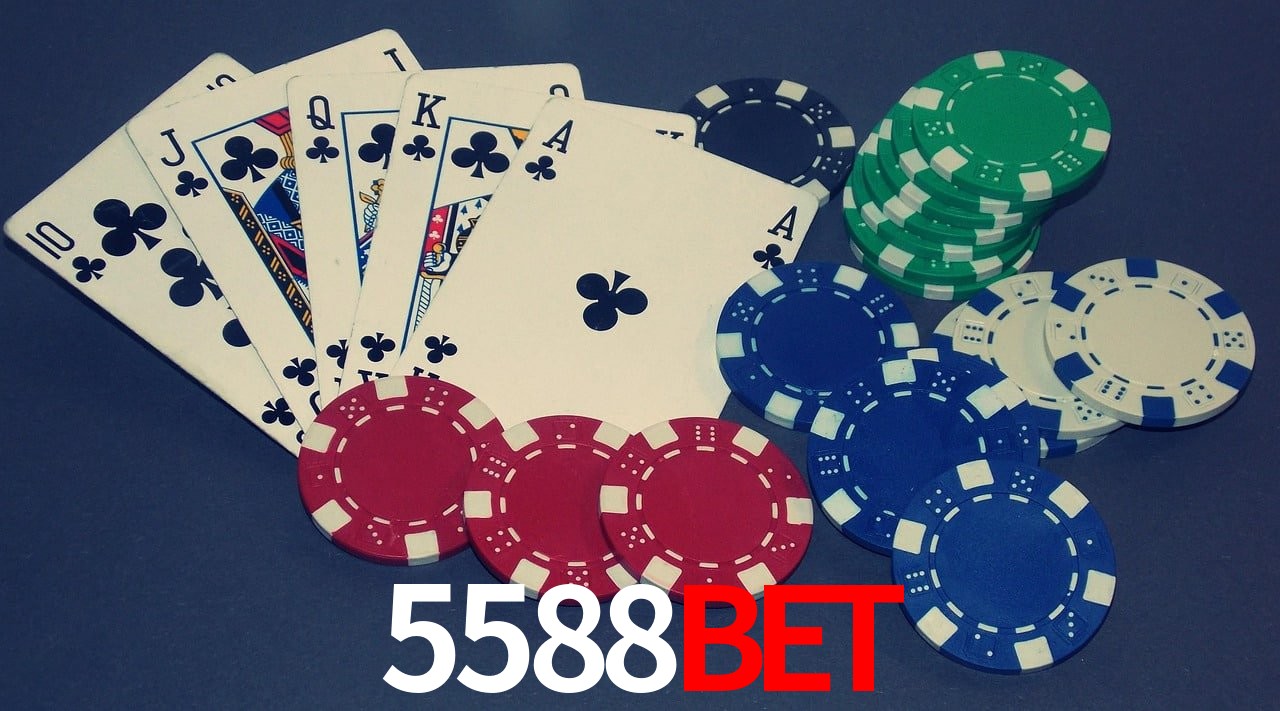 API Integration 5588BET